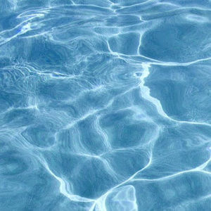 Meet your Posher, Monika